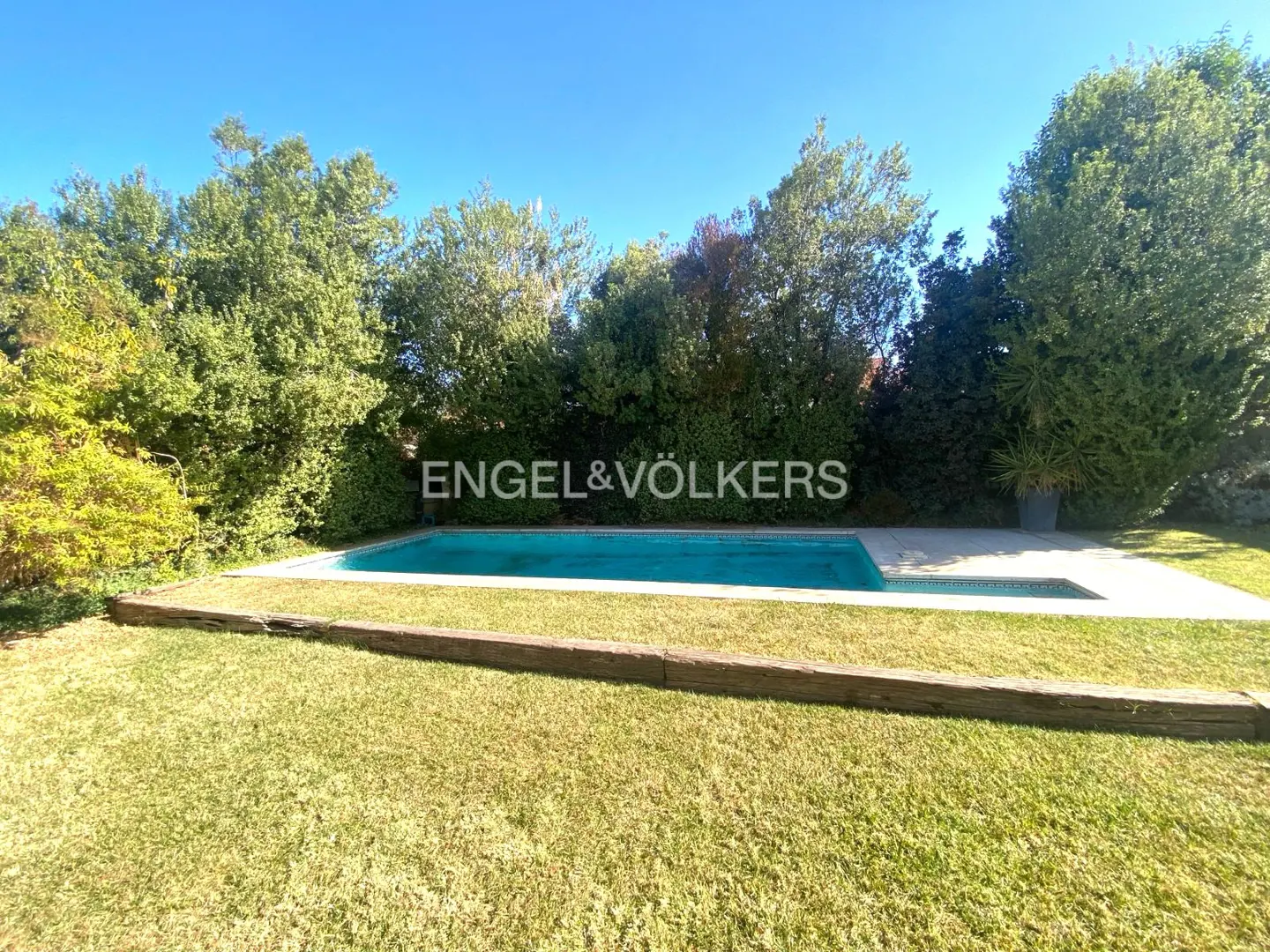 A rectangular swimming pool set in a grassy backyard, bordered by a wooden beam and surrounded by lush green trees.