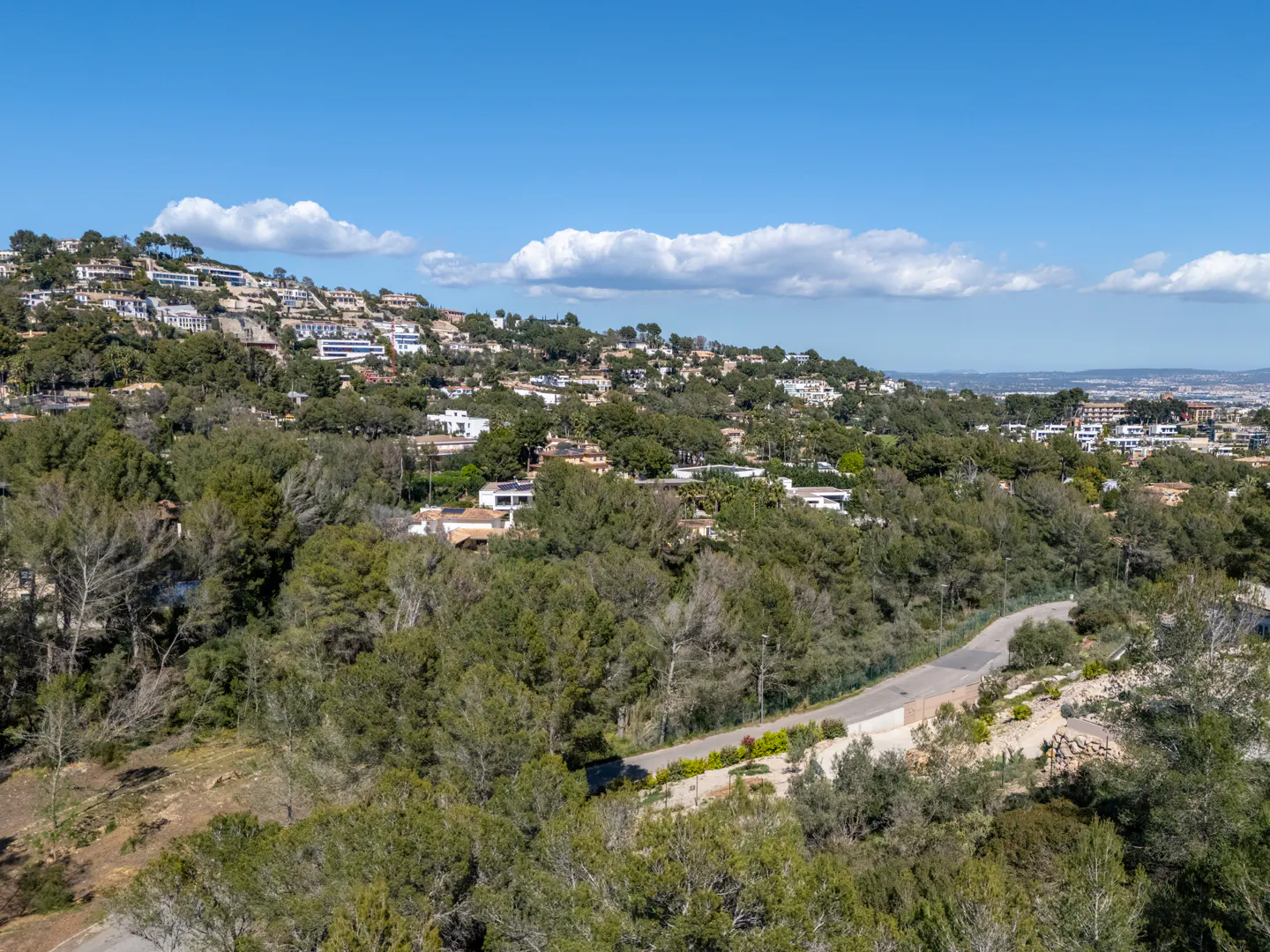 Hills covered in trees and houses under a blue sky with white clouds.