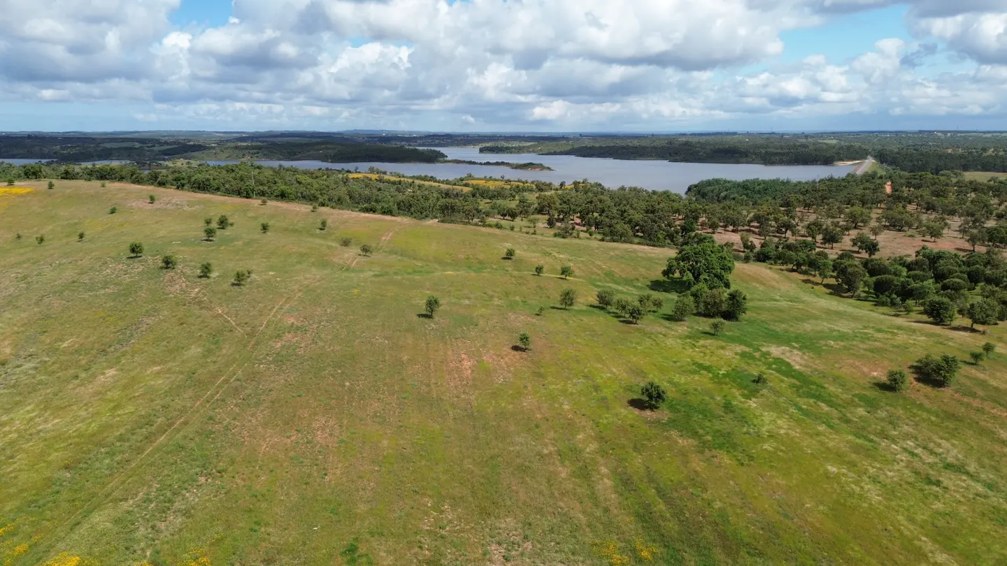 Aerial view of a green, grassy hillside dotted with trees, overlooking a lake under a partly cloudy sky.
