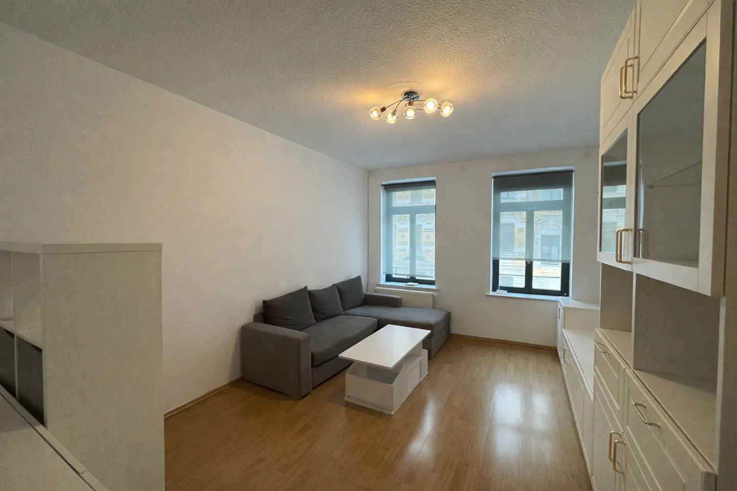 Living room with hardwood floors, gray sectional sofa, white coffee table, and built-in white cabinets. Two windows with gray shades.