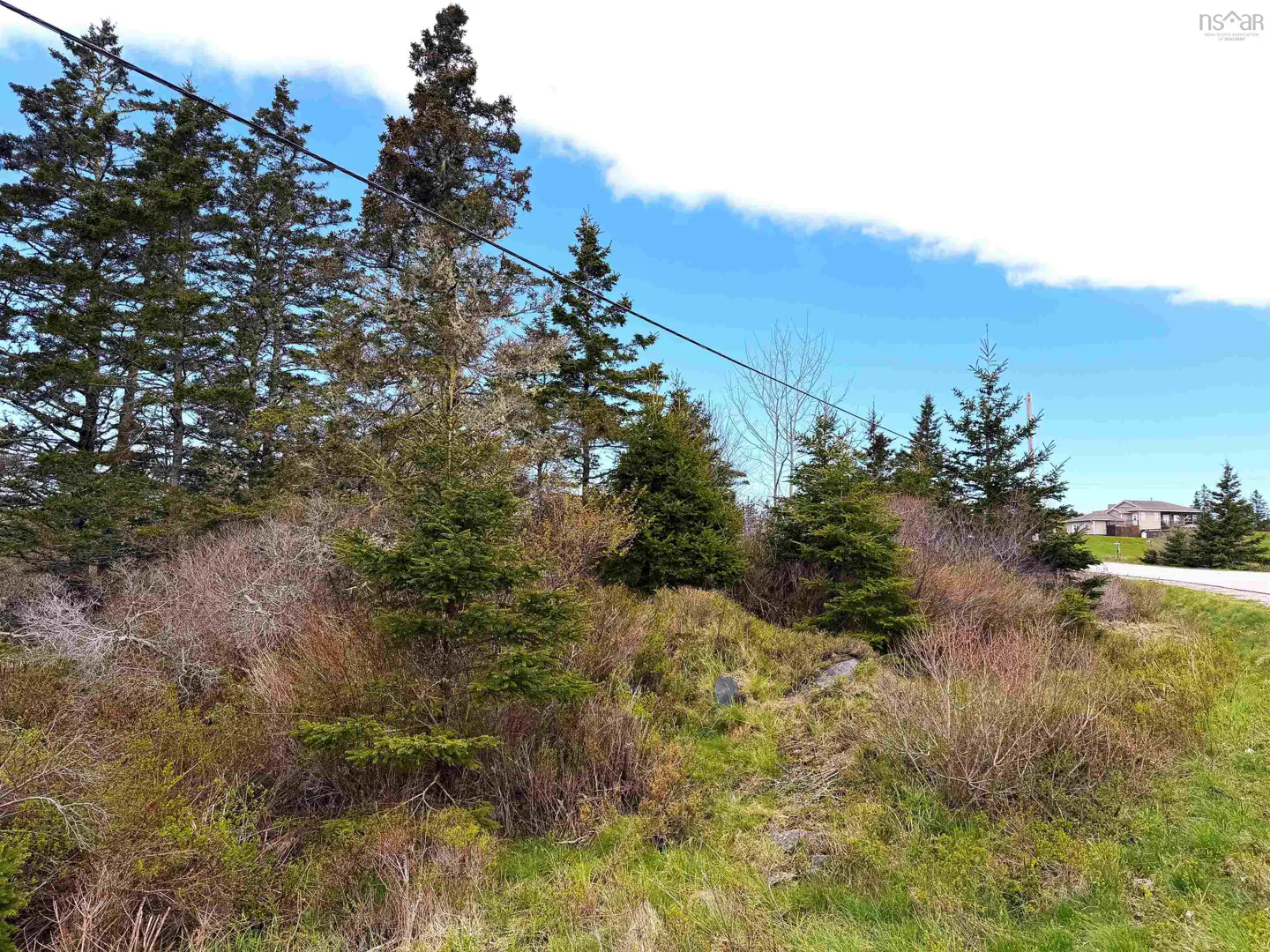 A vacant lot with green grass, shrubs, and evergreen trees under a blue sky with a few clouds.