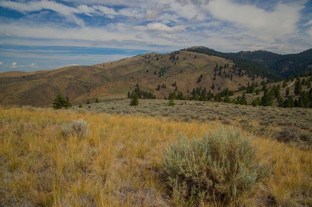 Hills covered in dry grass and scattered trees under a cloudy sky. The foreground has tall, golden grass and sagebrush.