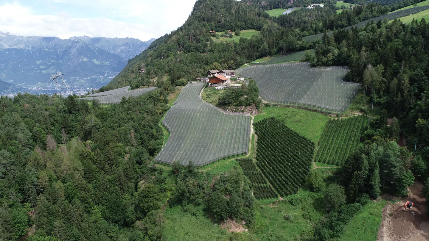 Aerial view of a hillside farm with orchards, a house, and mountains in the background.