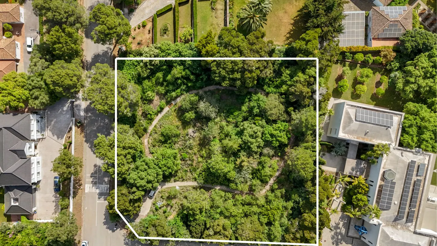 Aerial view of a wooded lot outlined in white, surrounded by houses and trees. A winding path cuts through the green foliage.