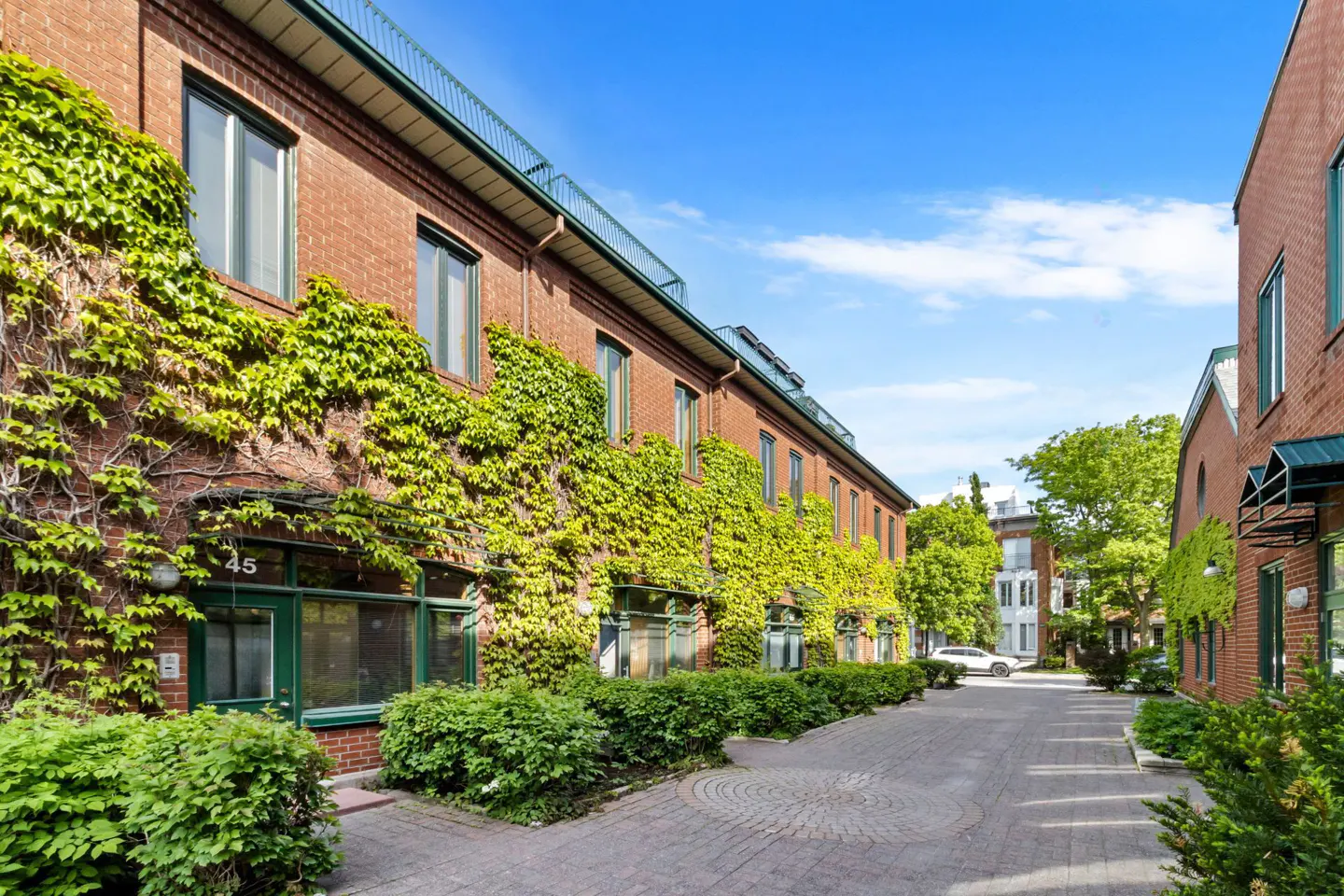 Exterior view of a red brick building covered in lush green ivy, with a paved courtyard and clear blue sky.