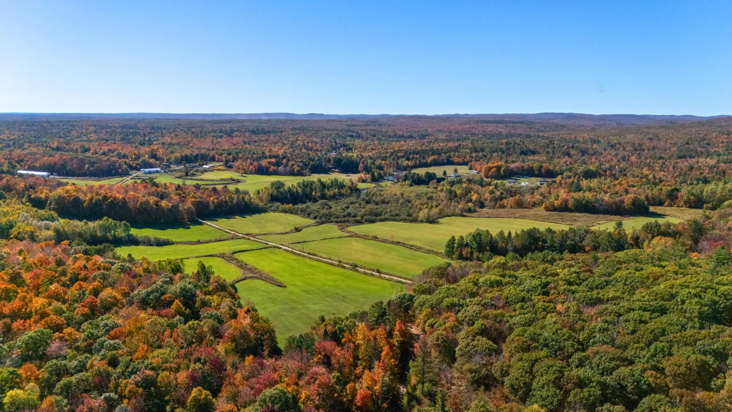 Aerial view of green fields and colorful autumn trees under a clear blue sky.