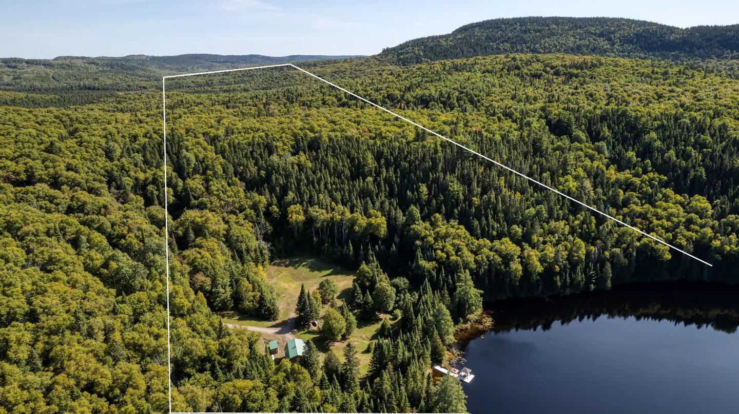 Aerial view of a wooded property with a lake, outlined in white, featuring a small cabin and dock.