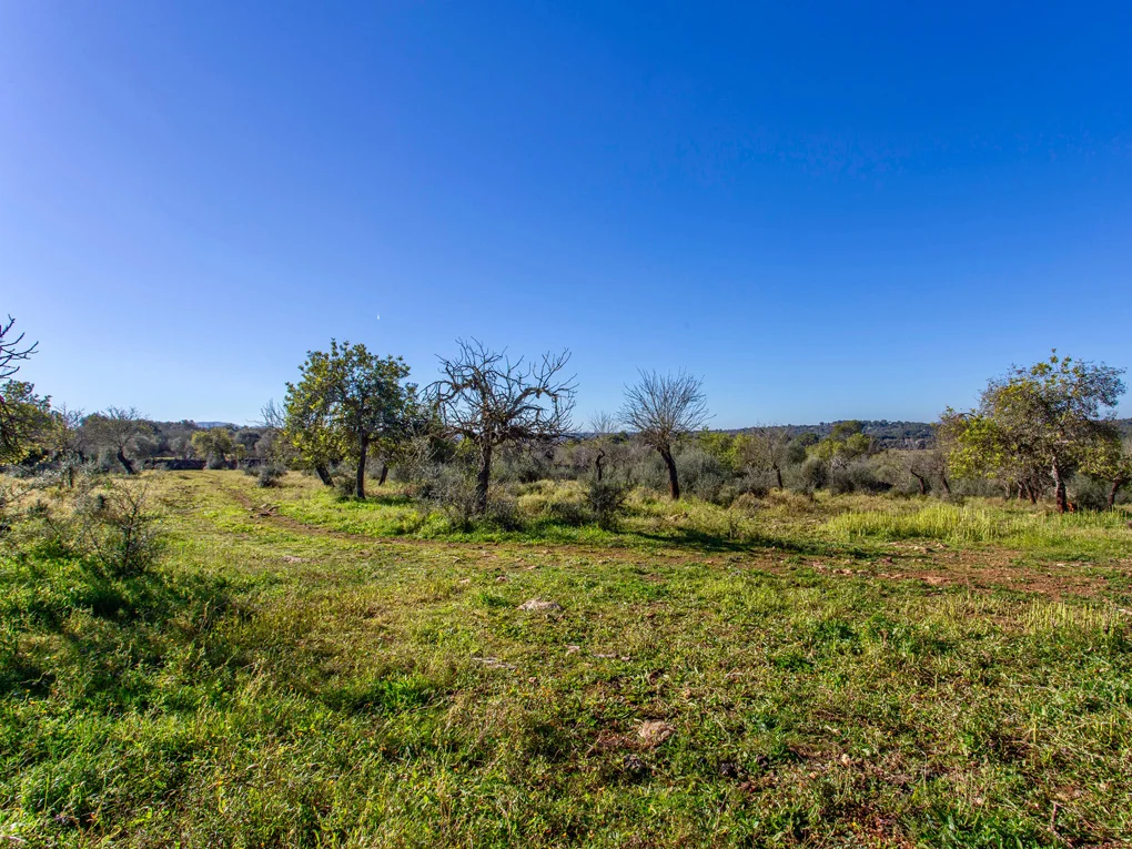 Rustic plot with beautiful views in Costitx