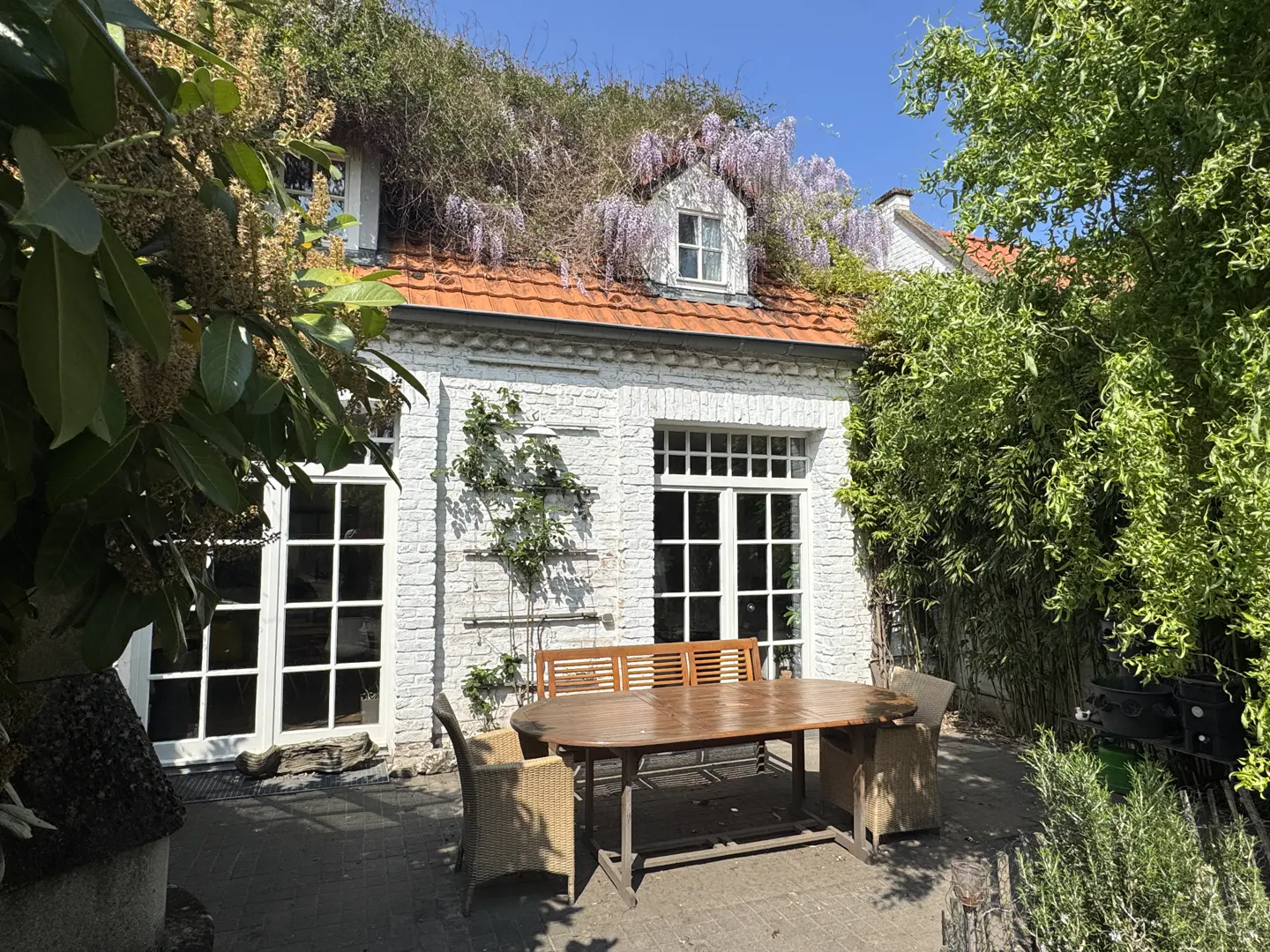 Outdoor patio with a wooden table and chairs, a white brick building with a red tile roof covered in green vines and purple wisteria.