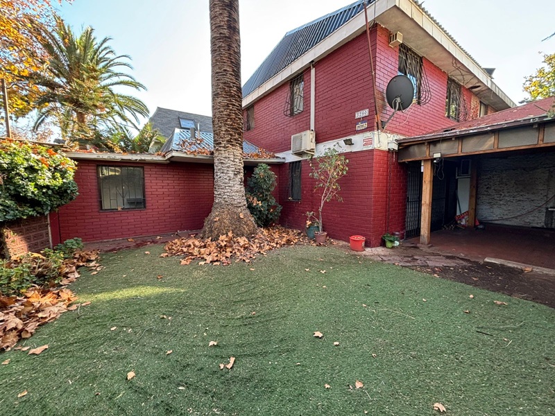 Backyard view of a two-story red brick house with a green lawn and a tall palm tree.