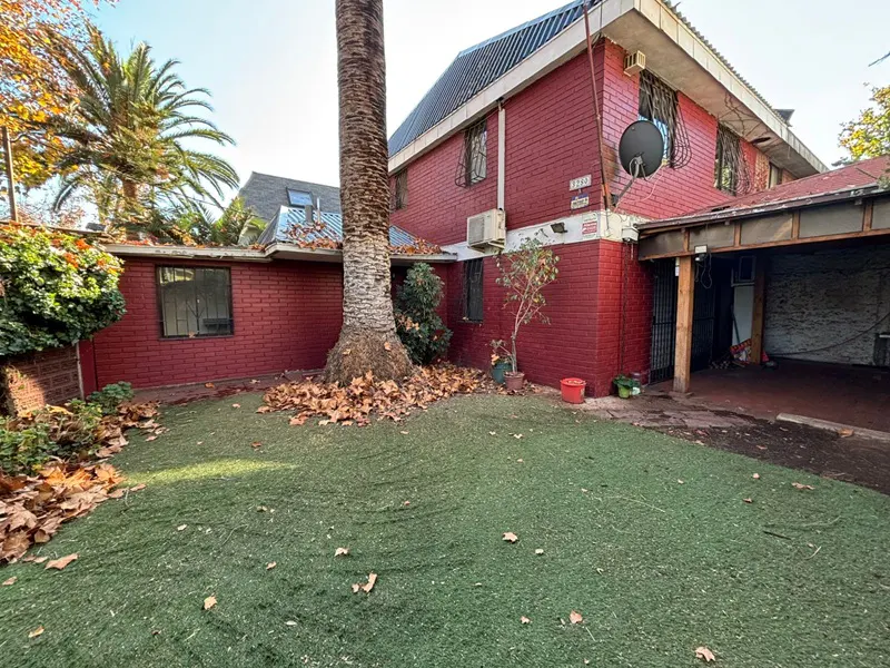 Backyard view of a two-story red brick house with a green lawn and a tall palm tree.