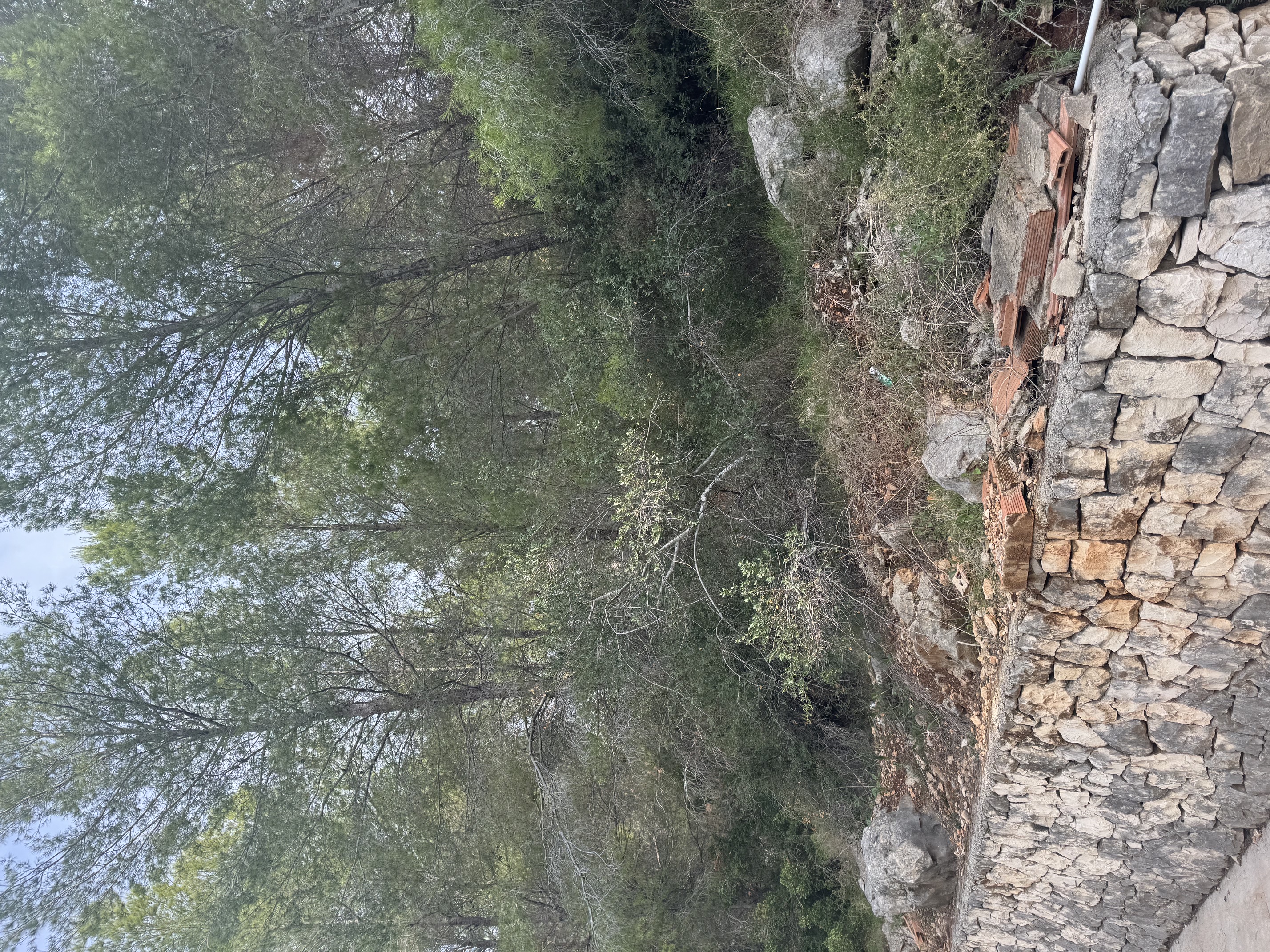 Prime hillside plot with sea views to Denia