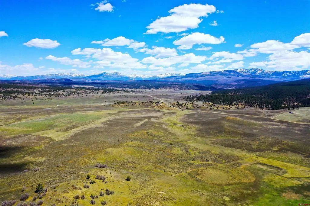 Vast, grassy field with mountains in the distance under a blue sky with scattered white clouds.