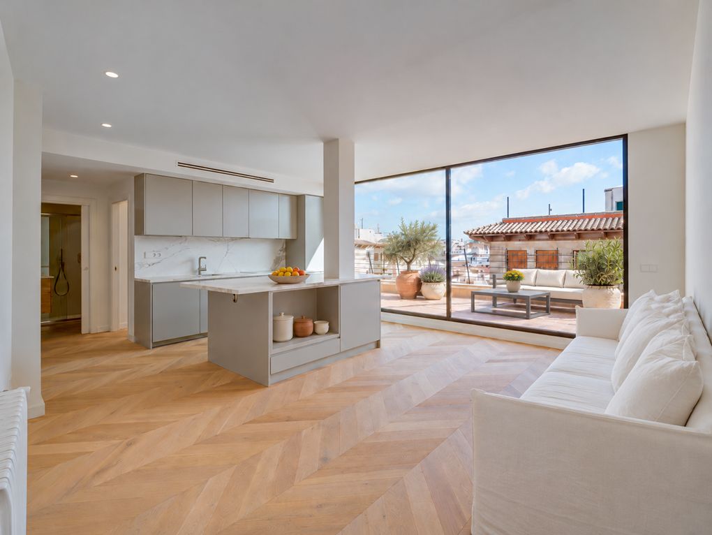 Sunny and modern penthouse with terrace and lift close to Borne [AI-modified]