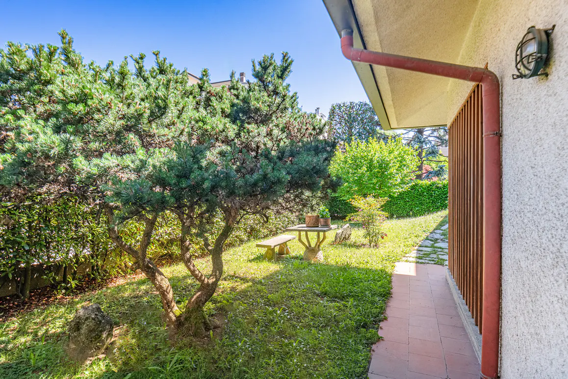 A sunny backyard with a small stone table and bench, a pine tree, and a tiled patio next to a house with a red downspout.
