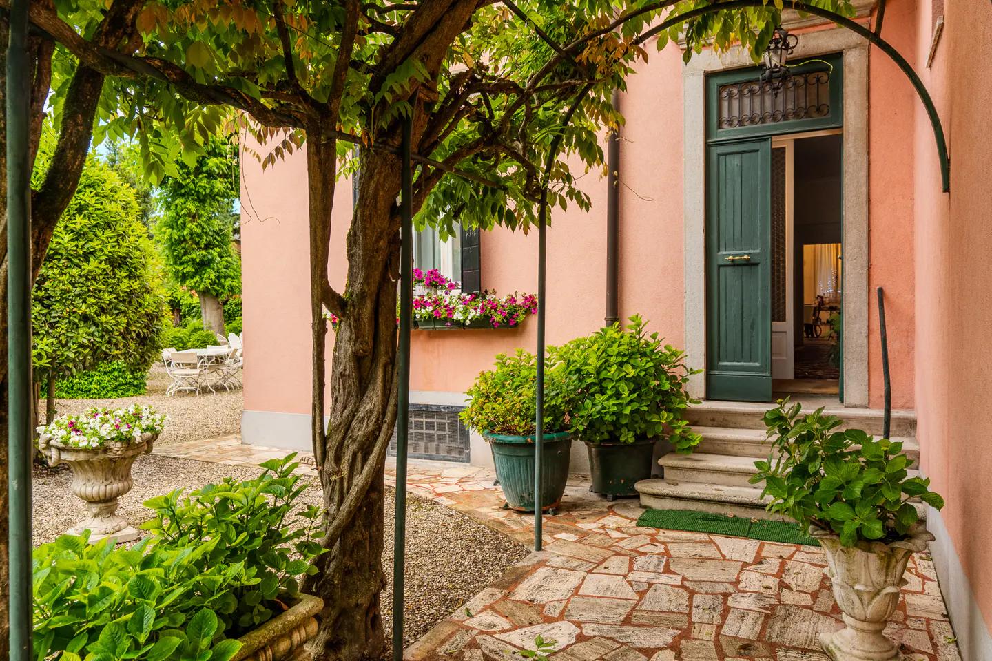 Courtyard view of a pink building with a green door, stone patio, and lush greenery. A tree with twisted branches frames the scene.