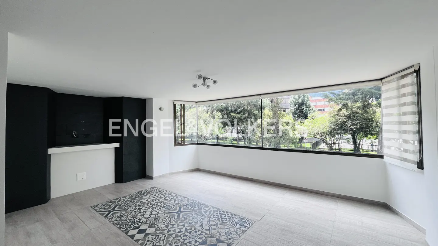 Bright, empty room with large windows overlooking trees. Black accent wall, patterned rug, and light gray floors.