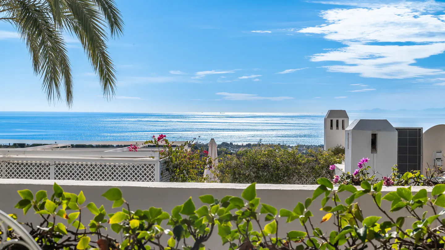 View of a sparkling blue ocean from a terrace with white walls, lush green plants, and a palm tree under a sunny sky.