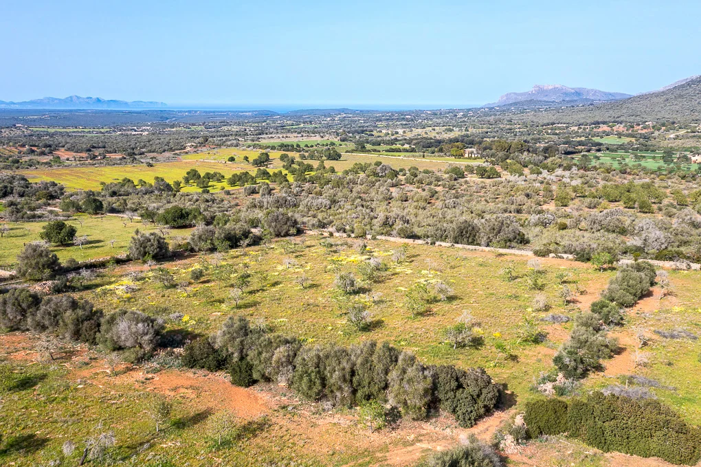 Plot with panoramic views and finca project between Artá and Manacor