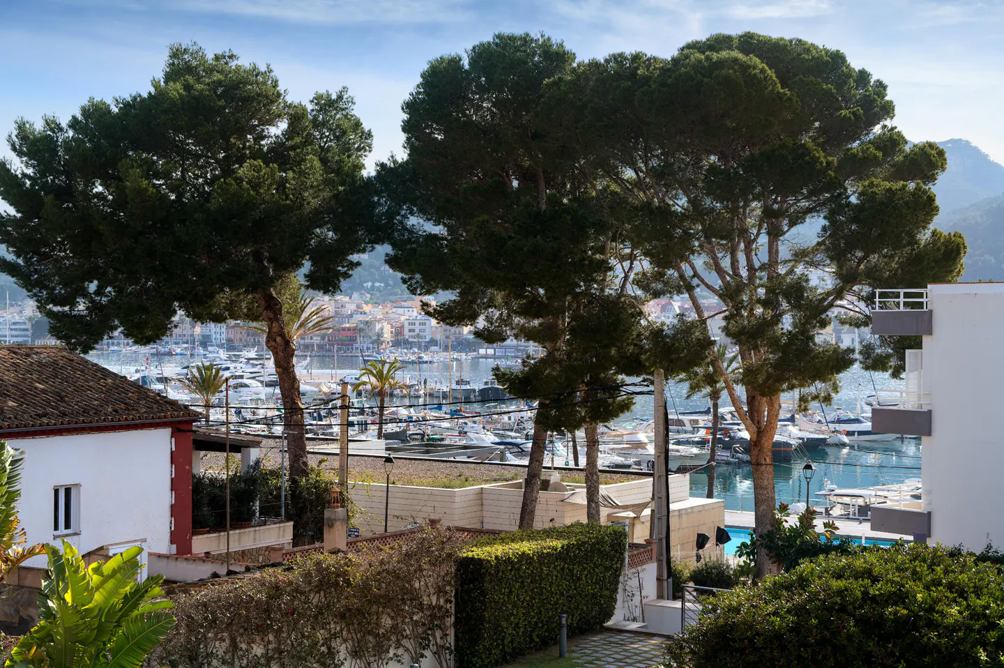 View of a harbor with boats, framed by trees and buildings. Blue sky above.