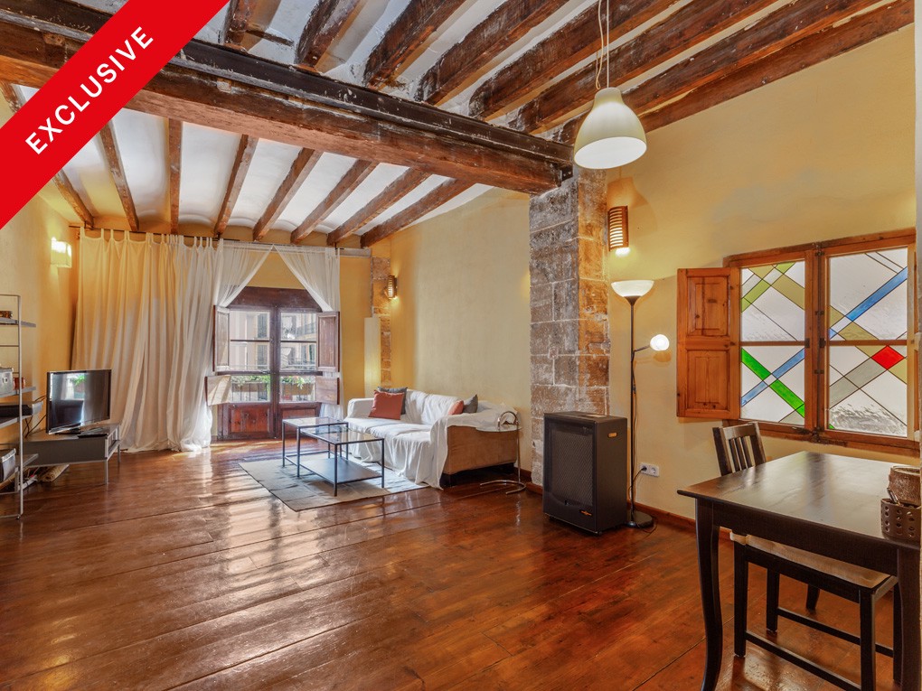 Gemütliche und helle Wohnung mit Balkon an der Plaza Coll