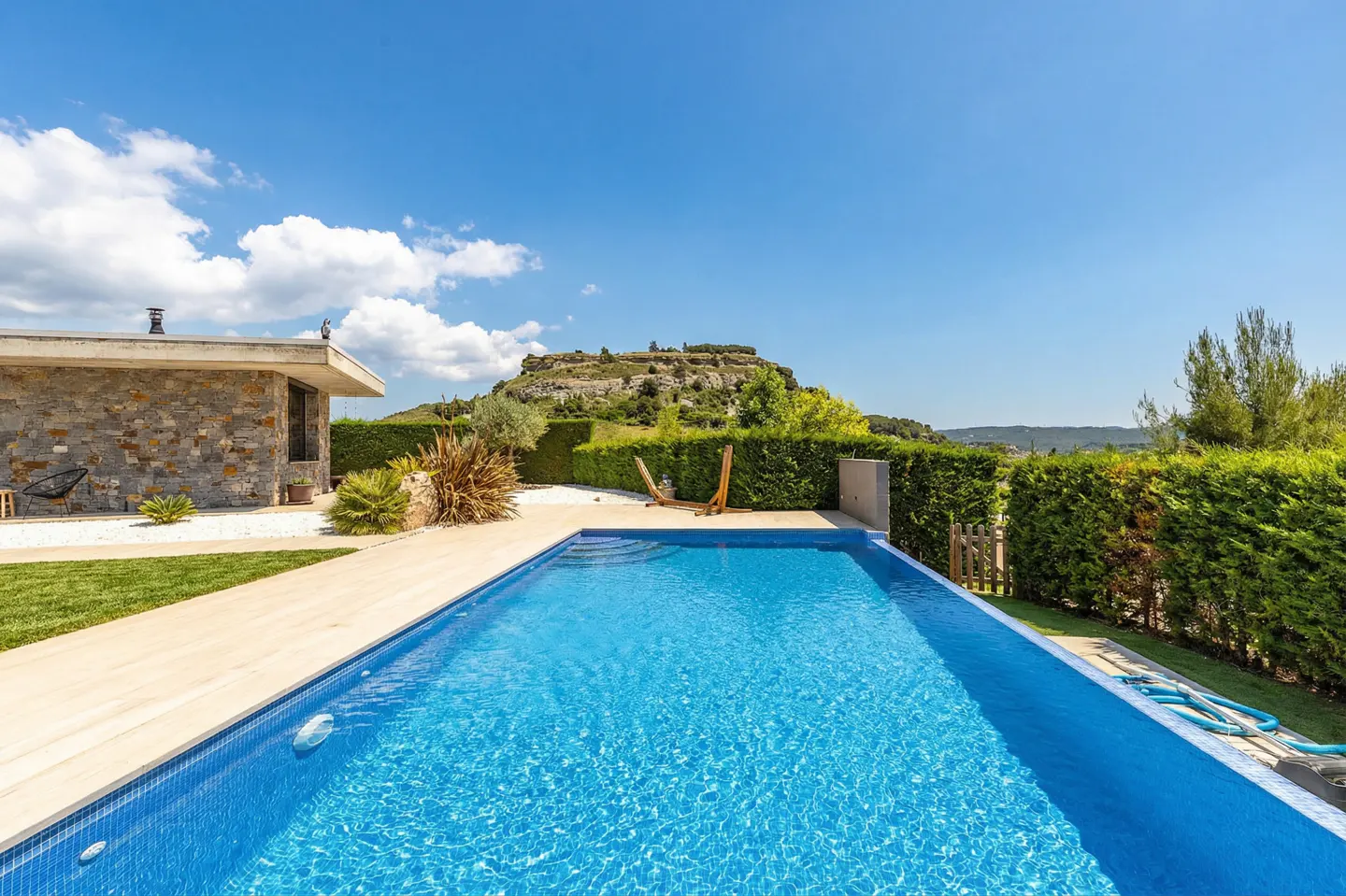 [AI-generated photo]