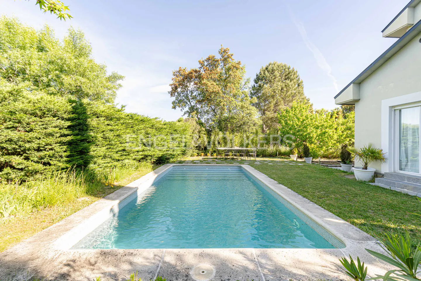 A backyard with a rectangular pool filled with blue water, green grass, trees, and a house.