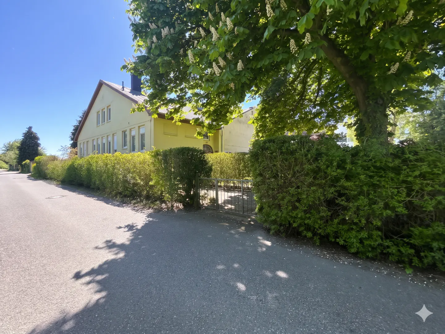 Exterior view of a yellow house with a green hedge and tree on a sunny day.