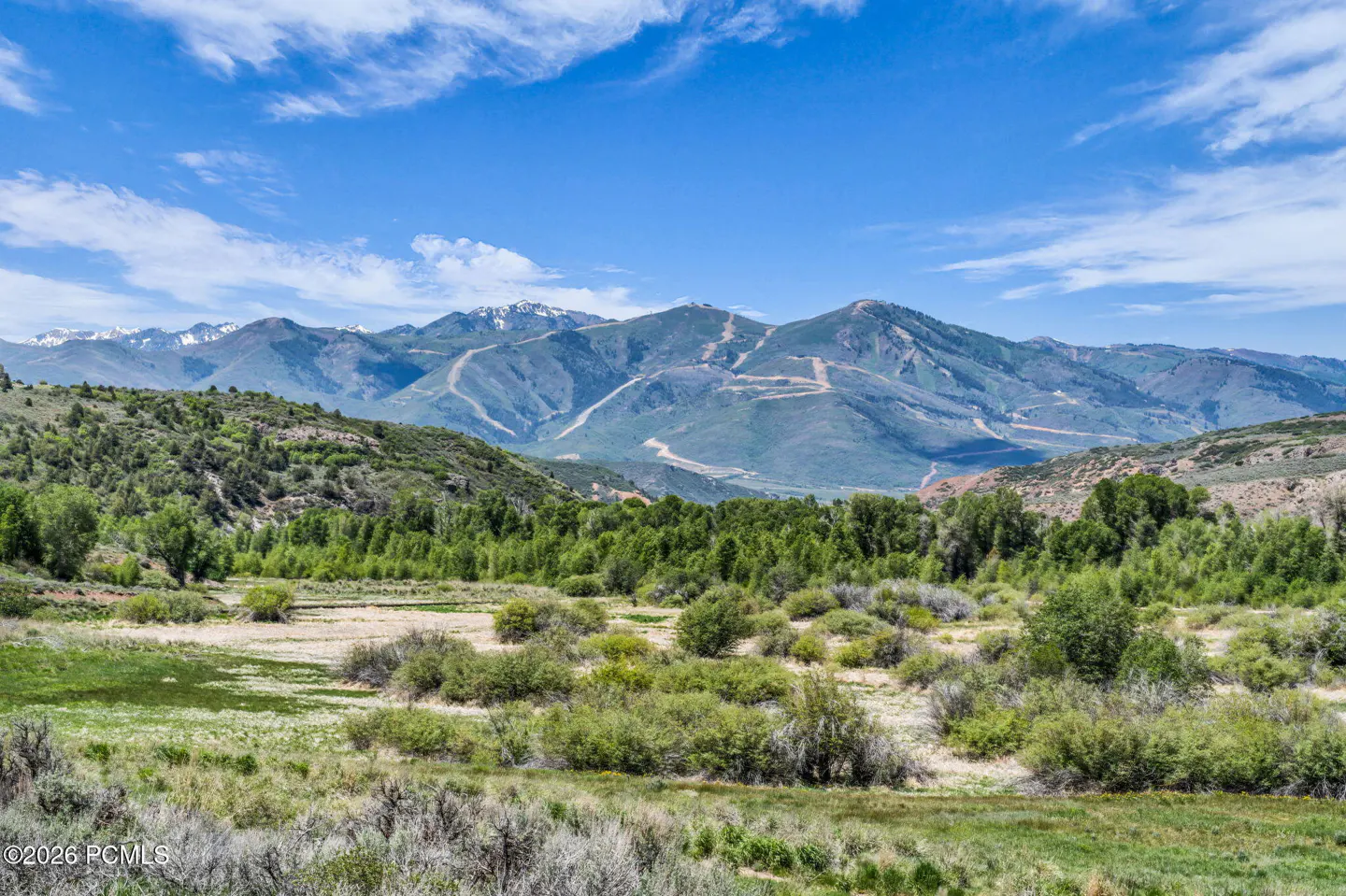 Scenic view of a lush green valley with shrubs and trees leading to distant mountains under a bright blue sky.