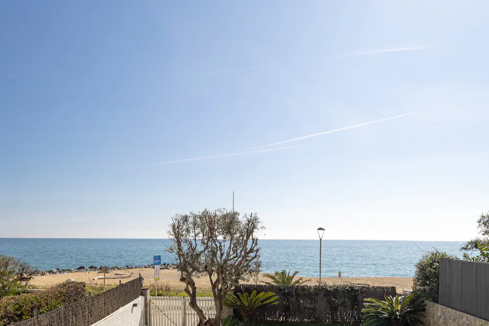View of a sandy beach and blue ocean from behind a fence, with a small tree and clear blue sky in the foreground.