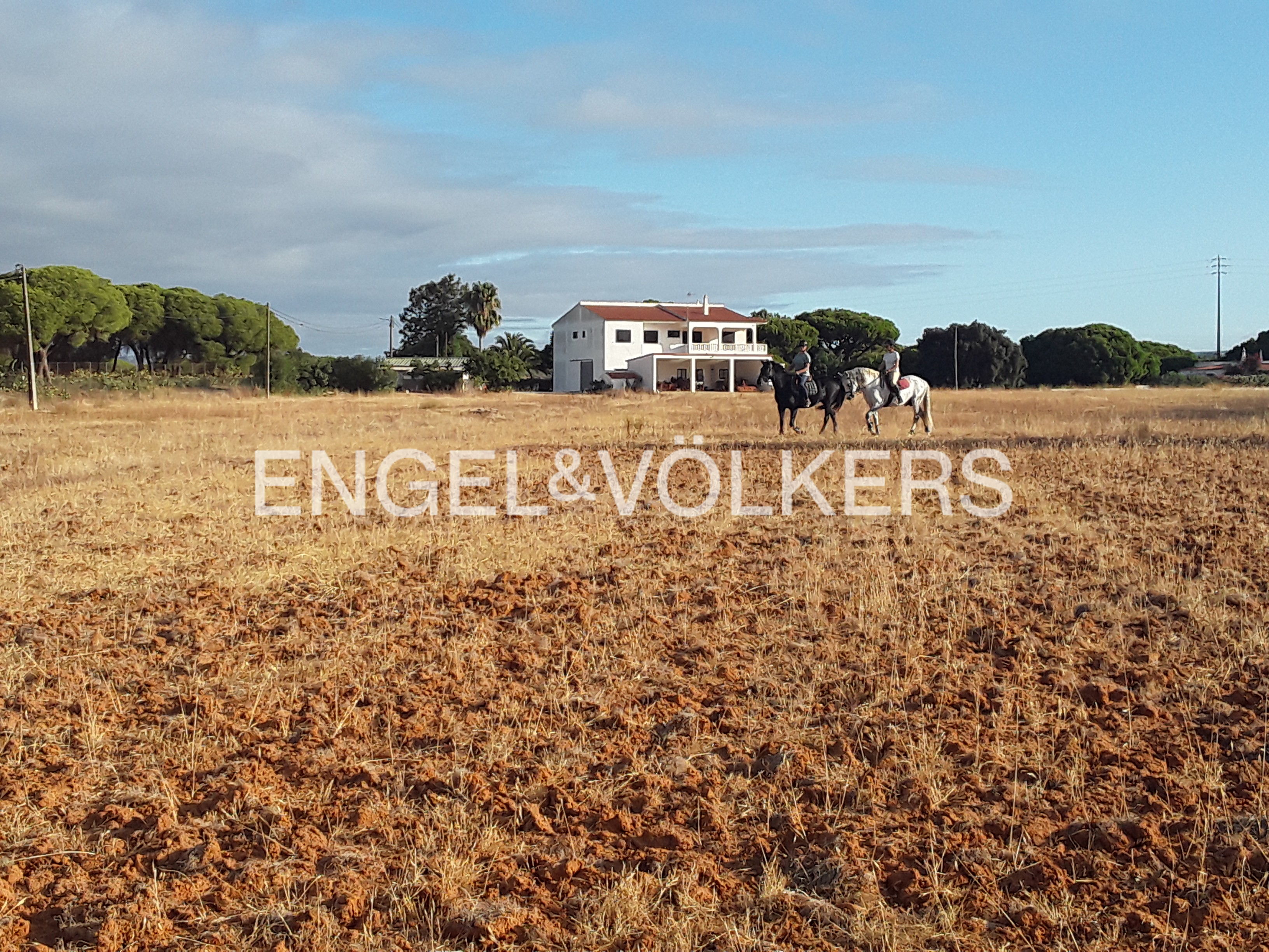 4-bedroom Farmhouse with approx. 3ha of land in the heart of the Golden Triangle