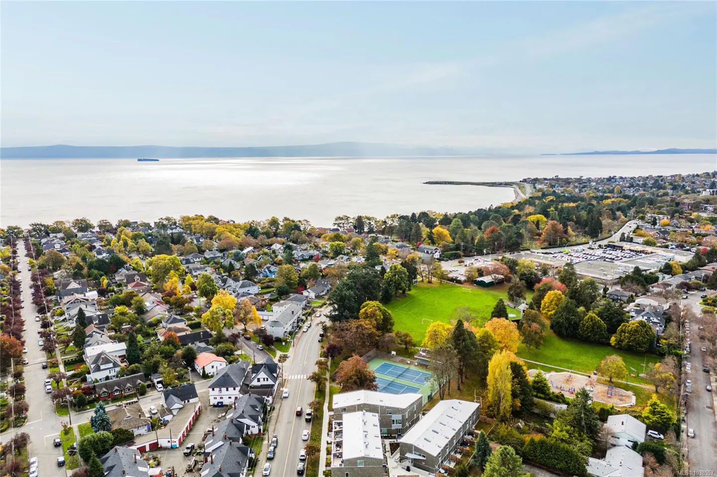 Aerial view of a coastal town with houses, trees, a park, and the ocean in the background.