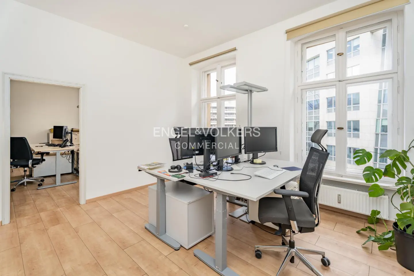 Bright office with light wood floors, two desks with computer monitors, black ergonomic chairs, and a potted plant.