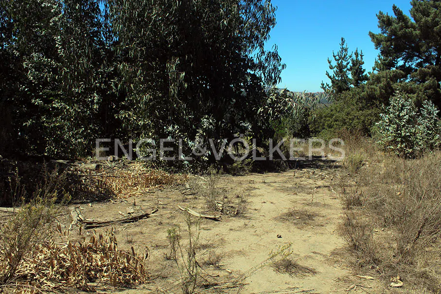 Vacant lot with dirt ground, surrounded by trees and bushes under a blue sky. Engel & Volkers logo is superimposed on the image.