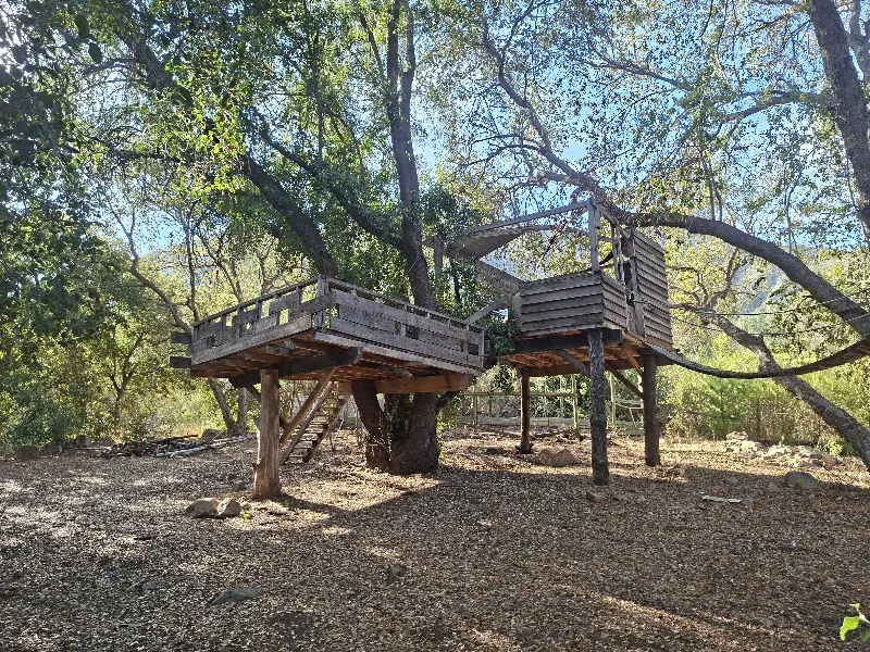 Two wooden treehouses connected by a rope bridge, nestled among green trees under a blue sky.