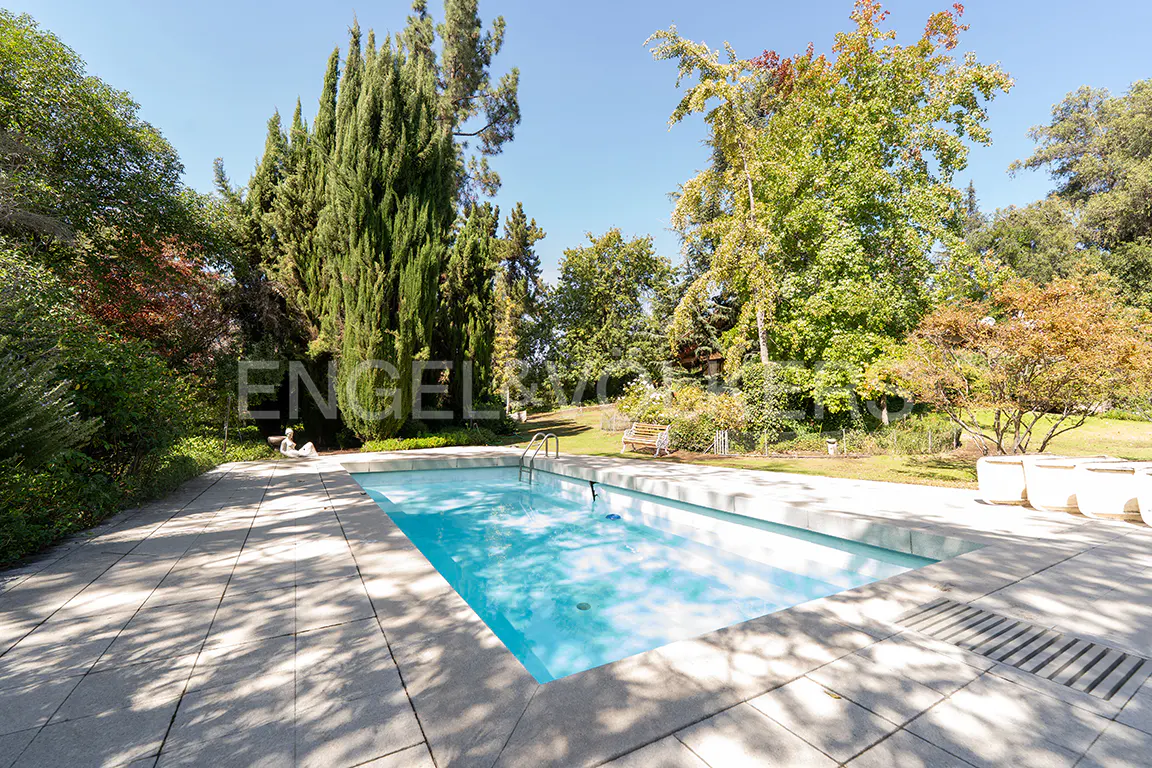 Outdoor pool with clear blue water, surrounded by stone patio and lush green trees under a bright blue sky.