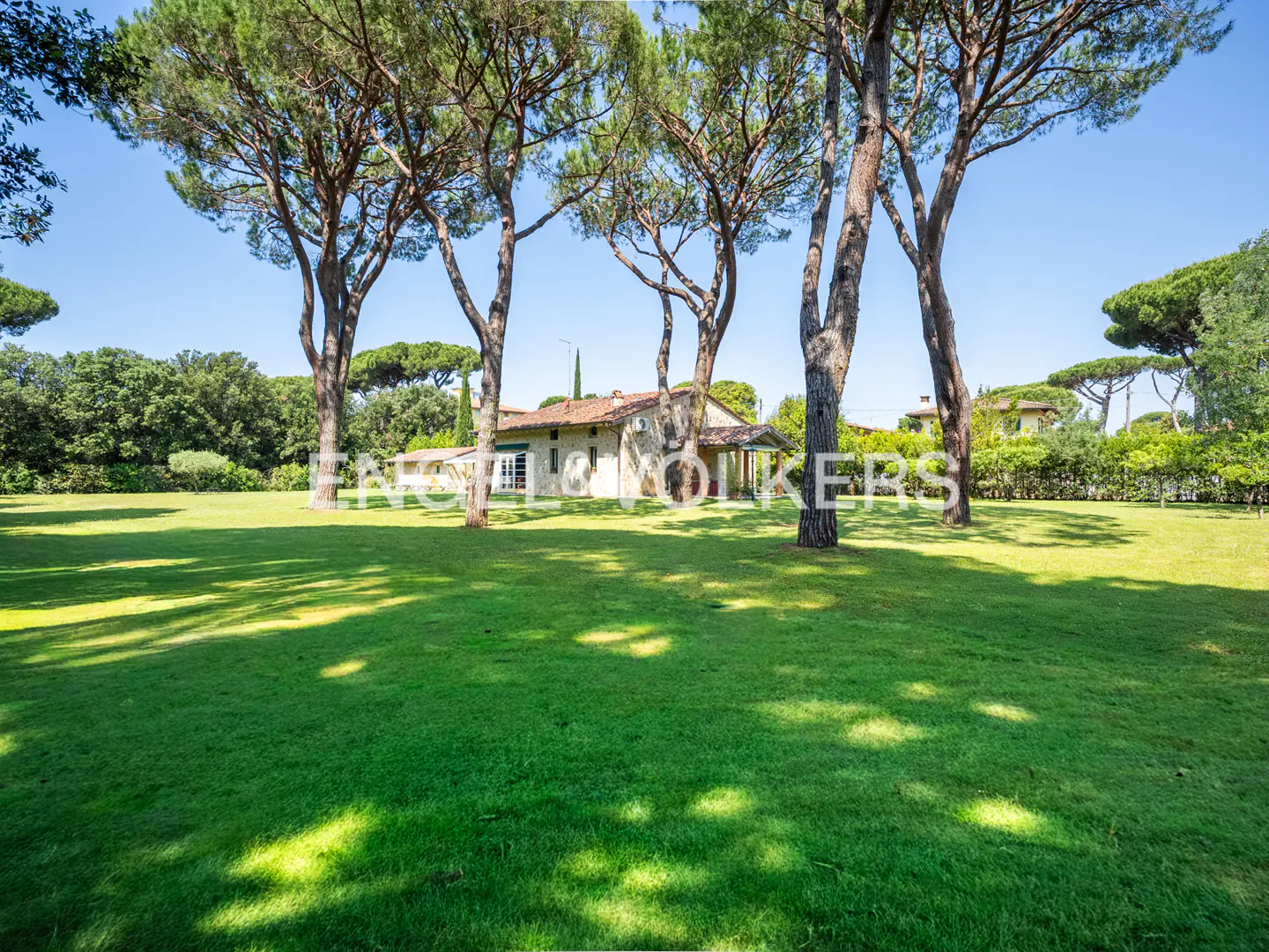 A stone house with a tiled roof sits in a large, sunny green lawn surrounded by tall pine trees under a clear blue sky.