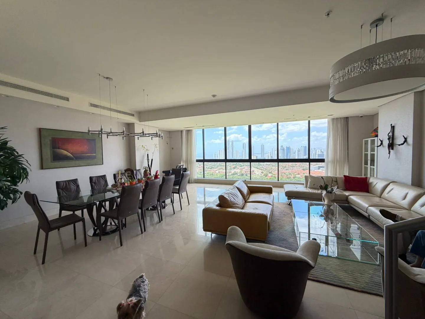 Spacious, modern apartment with dining table, leather sofas, and city view through large windows. A small dog is in the foreground.