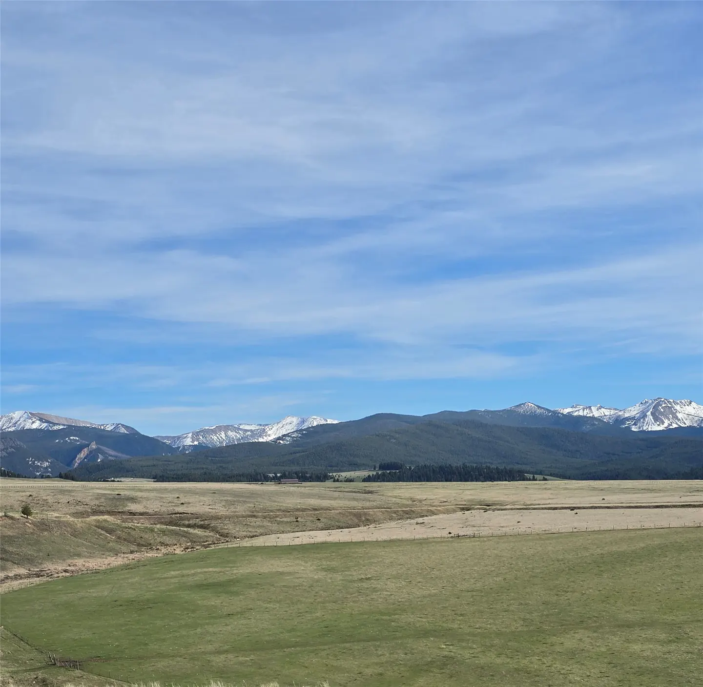 Scenic view of a green and brown field with snow-capped mountains in the background under a blue sky with light clouds.
