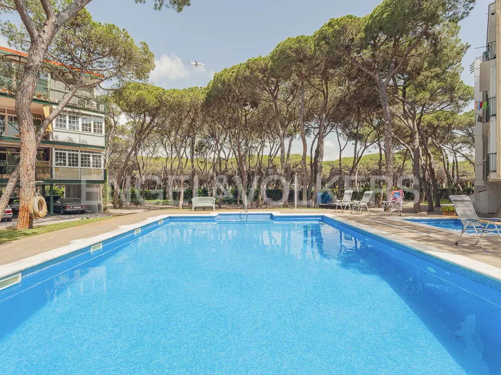 A bright blue swimming pool sits in front of tall pine trees and apartment buildings under a sunny sky.