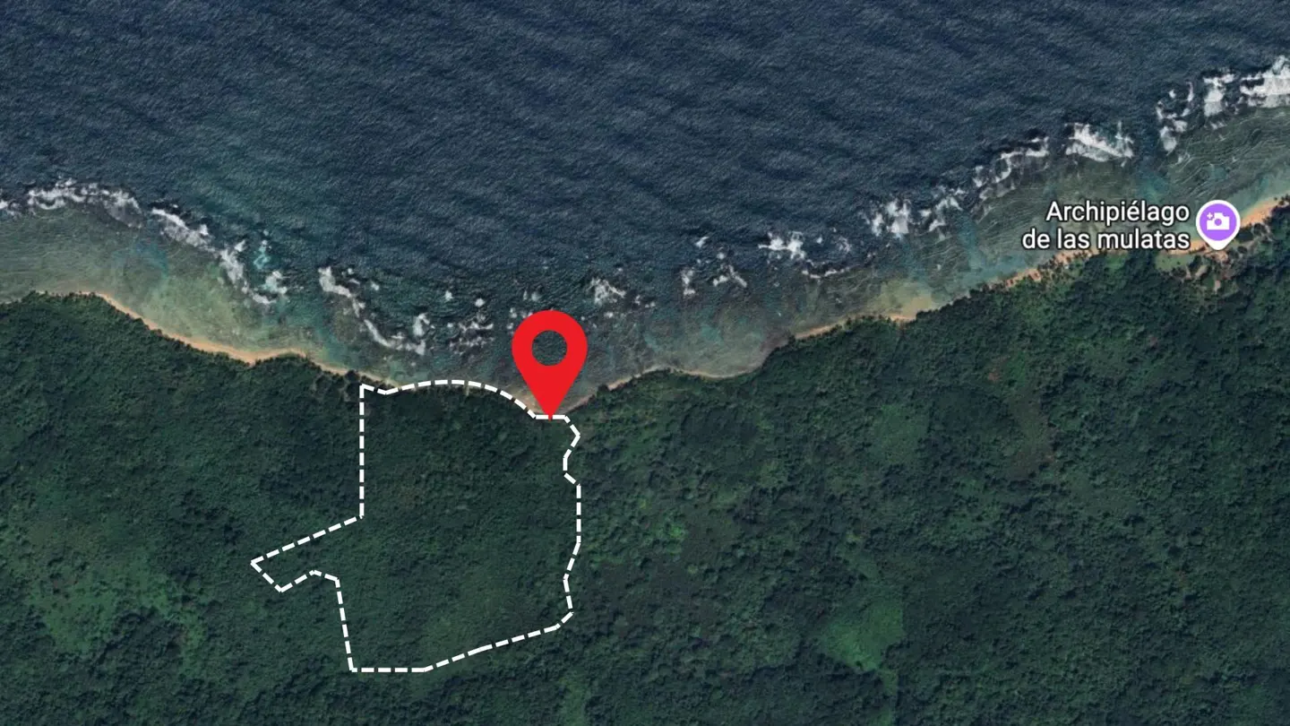 Aerial view of a property outlined in white, bordering the ocean and lush green forest, marked with a red pin.
