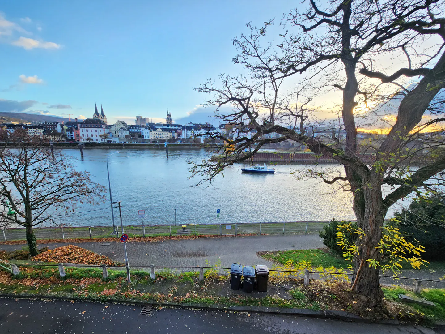 View of a river with a boat, a distant town skyline, and a large tree in the foreground at sunset.