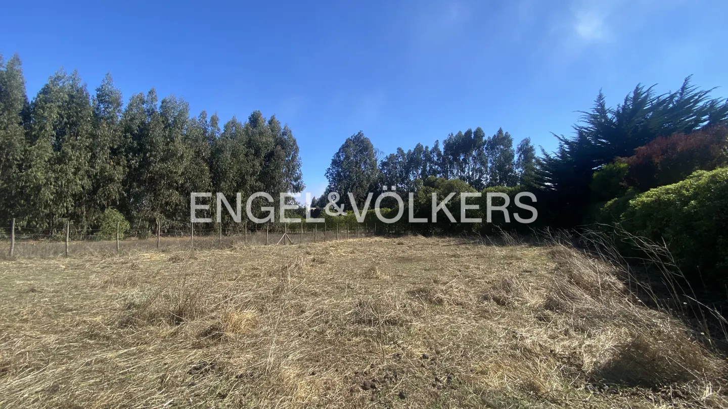 Vacant land with tall grass and trees under a blue sky. Engel & Völkers logo is superimposed on the image.