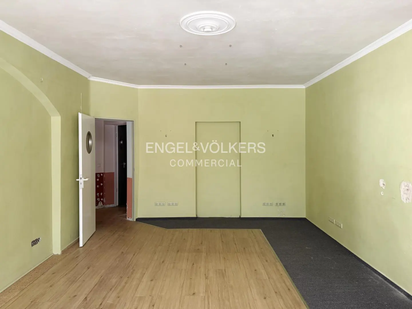 Empty room with light green walls, white trim, and wood-look flooring transitioning to dark gray carpet. Open door on left.