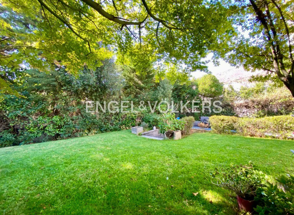 Lush green lawn with trees and bushes. Engel & Volkers logo in the background.