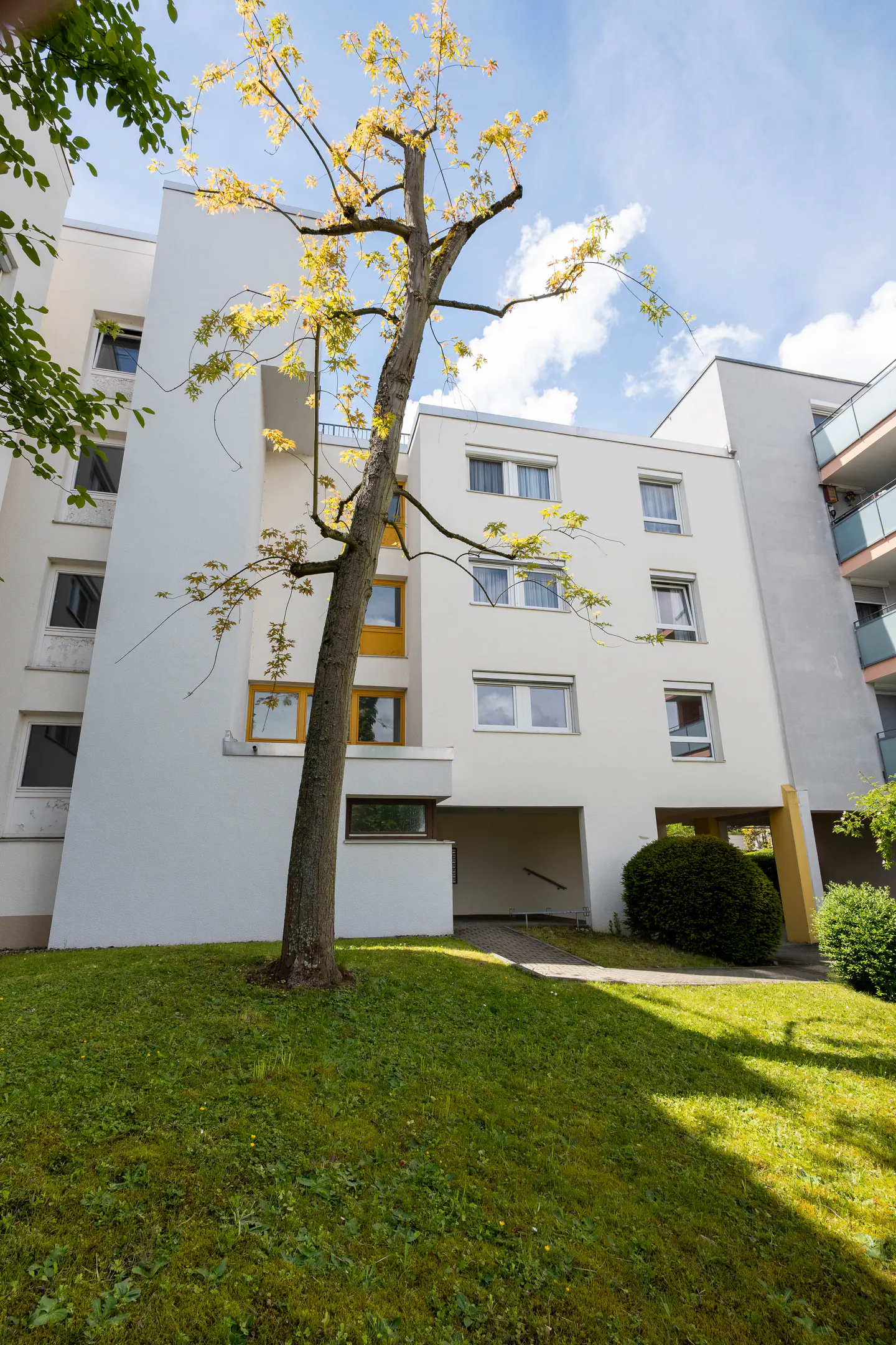 Exterior of a modern white apartment building with a tree in the foreground and green lawn.