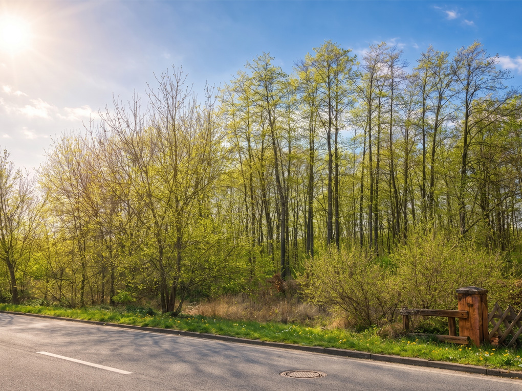 Wo Ideen ein Fundament bekommen