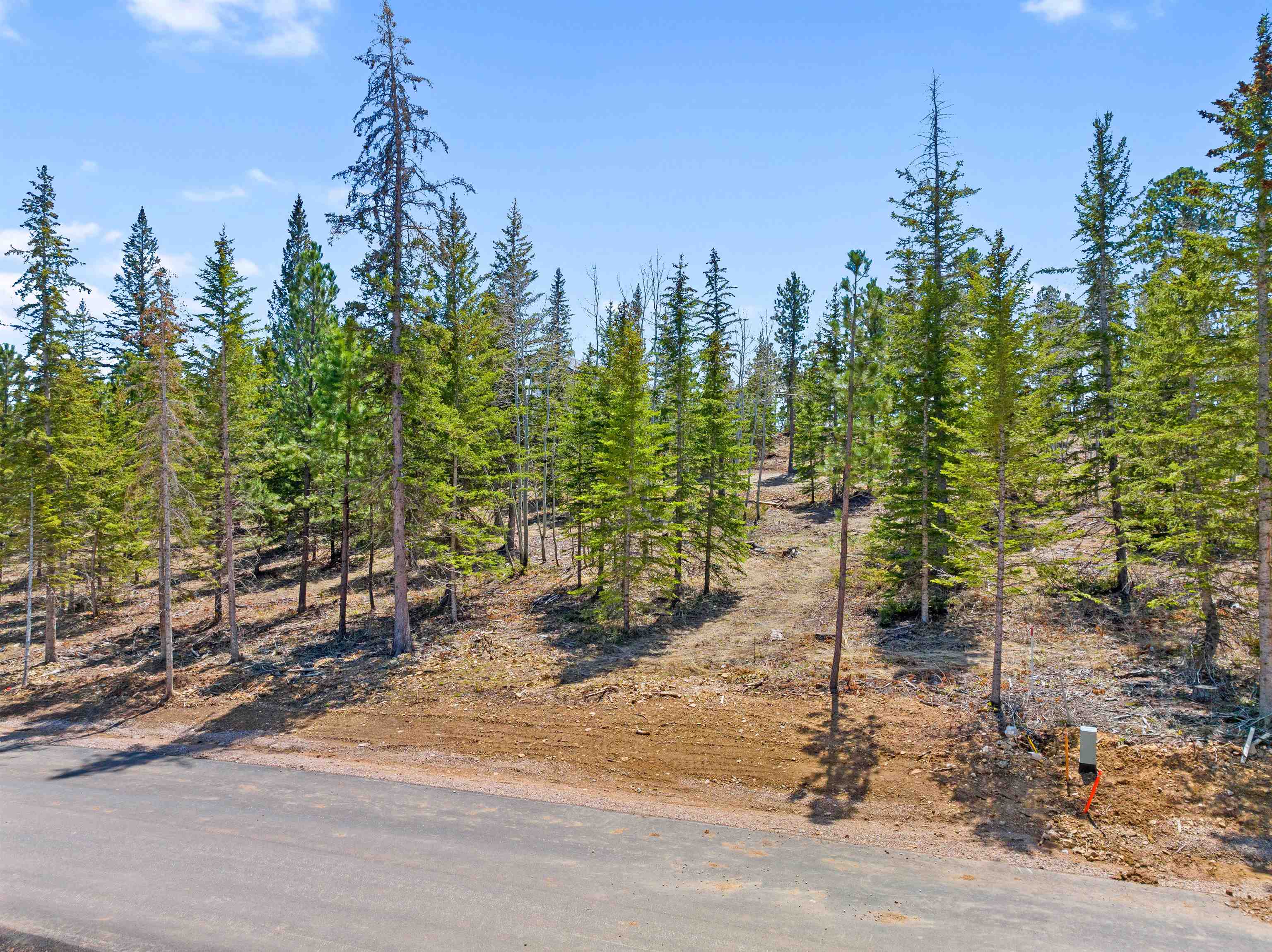 Land In The Black Hills