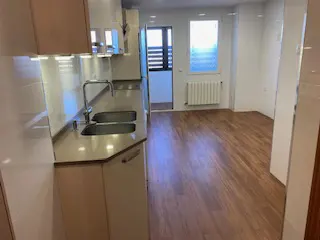 Modern kitchen with light wood cabinets, stainless steel sink, and wood-look flooring leading to a bright living area.