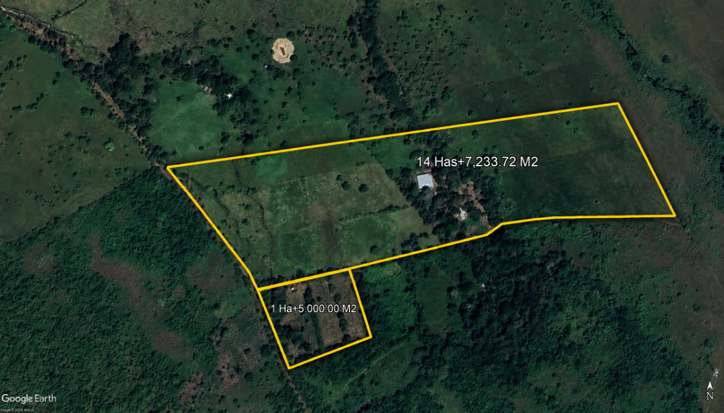Aerial view of two plots of land, outlined in yellow, amidst green fields and trees. One plot is 14 Has + 7,233.72 M2, the other is 1 Ha + 5,000.00 M2.
